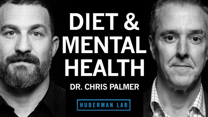 Dr. Chris Palmer: Diet & Nutrition for Mental Health | Huberman Lab Podcast #99