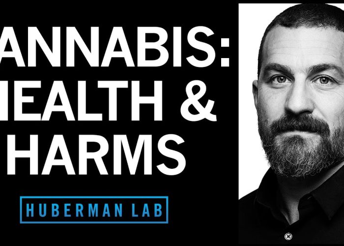 The Effects of Cannabis (Marijuana) on the Brain & Body | Huberman Lab Podcast #92